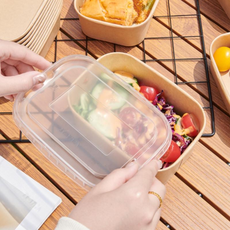 * 10PCS/Set Disposable Lunch B - Meal Prep Bowl review and price