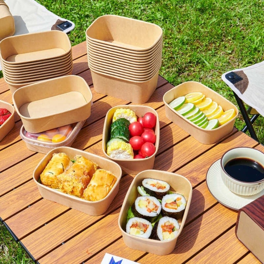10PCS/Set Square Disposable Lu - Meal Prep Bowl review and price