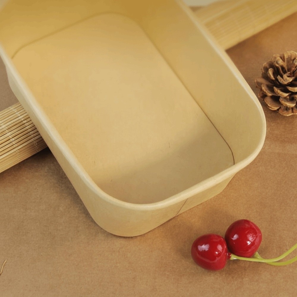 10PCS/Set Square Disposable Lu - Meal Prep Bowl review and price